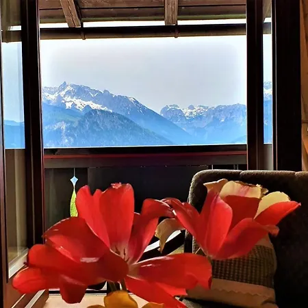 3 Bergpanorama Und Atenberaubende Alpine Almlandschaft Fuer Absolute Nichtraucher Apartmán